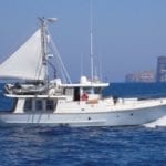 Frog Kiss - Nordhavn 46'